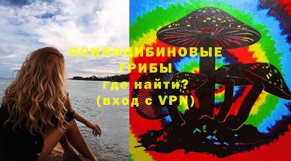 ПСИЛОЦИБИНОВЫЕ ГРИБЫ Вязьма