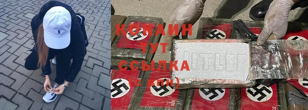 ПСИЛОЦИБИНОВЫЕ ГРИБЫ Вязьма
