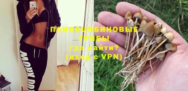 соль курить ск Вяземский