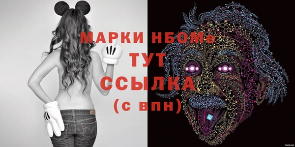 СК Волоколамск
