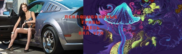 ПСИЛОЦИБИНОВЫЕ ГРИБЫ Вязьма